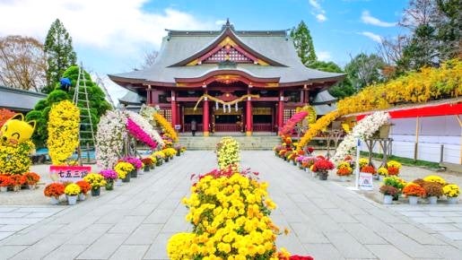 <Web割対象商品>【キングツアーバス旅】焼き物の里 笠間・笠間稲荷神社菊祭りと名産笠間の栗のモンブラン・焼き栗のお持ち帰り〔調布発〕3